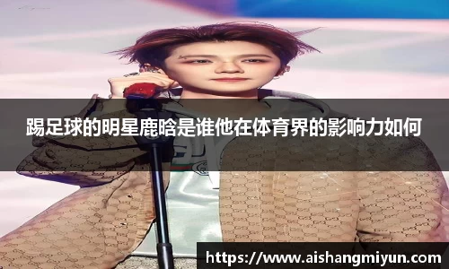 踢足球的明星鹿晗是谁他在体育界的影响力如何